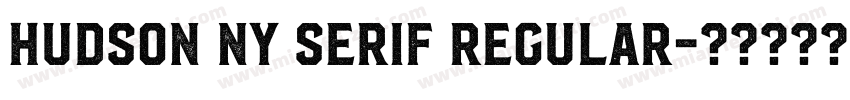 Hudson NY Serif Regular字体转换